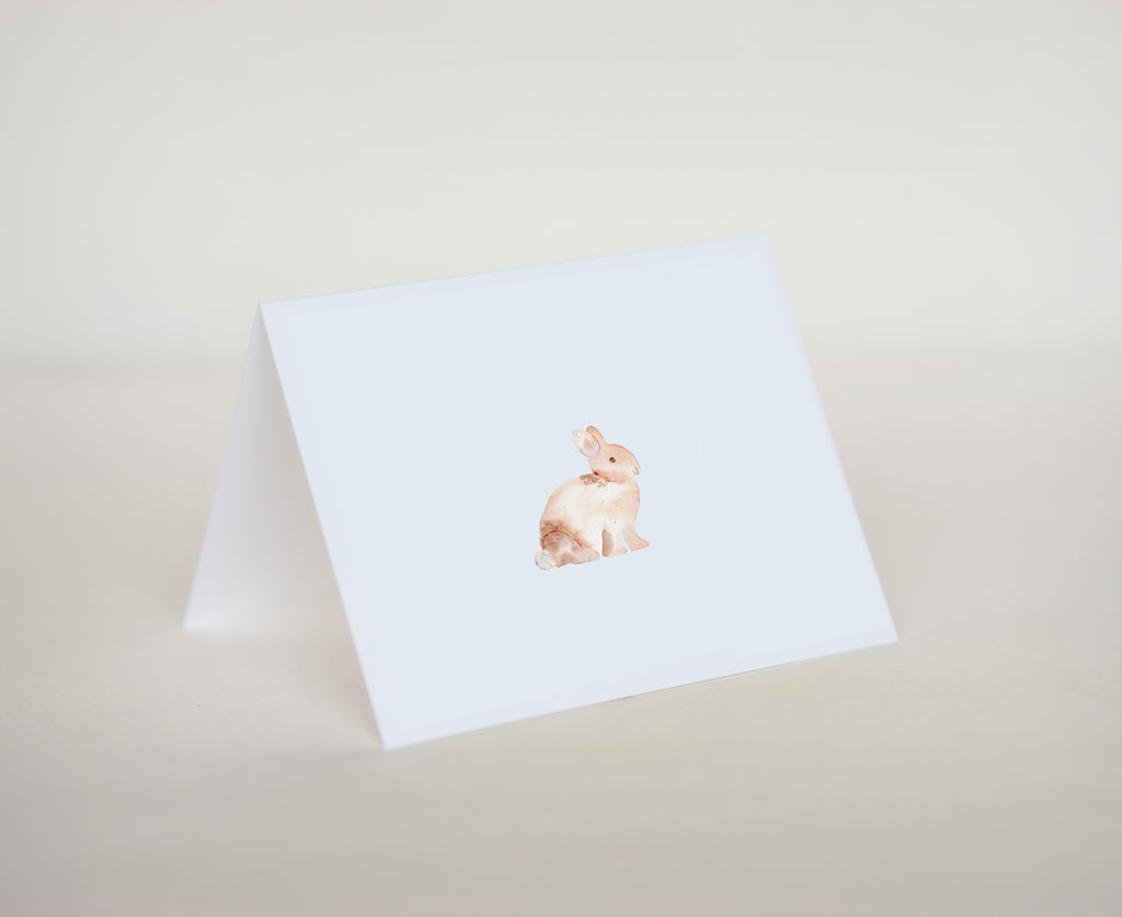 Baby Bunny Notecard Set